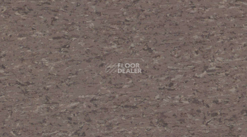 Линолеум Gerflor Mipolam Accord 0344 OSPEDAL фото 1 | FLOORDEALER